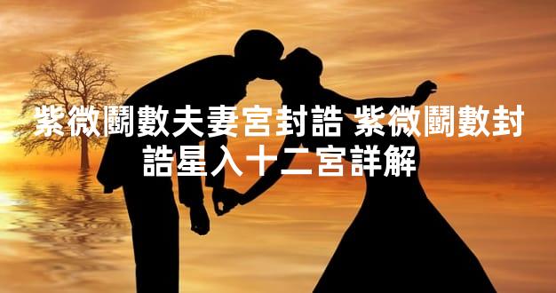 紫微鬭數夫妻宮封誥 紫微鬭數封誥星入十二宮詳解